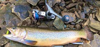 2022 Pa Trout Stocking Schedule 2022 North Park (Pittsburgh) Trout Stocking Schedule | Pittsburgh,  Pennsylvania | Pittsburgh.net