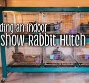 Building a Show Rabbit Hutch (silver fox and creme d'argent meat rabbits)