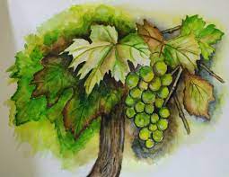 pin on nature