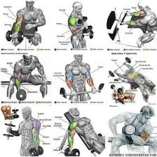 Mega Strong Biceps Workout Biceps Workout Fitness Body Shoulder Workout