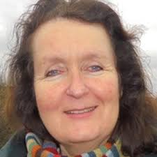 Sutton local election: The 10 candidates in Sutton North