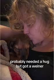 Angel Baby: Adorable Dachshund Needs a Hug