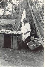 Mauritius Mauriturk History Beautiful Islands Mauritius Roadside