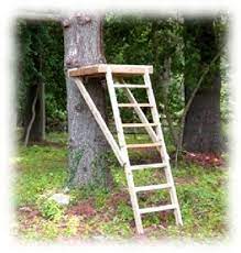Zip Line Platform Plan How To Build A Zip Line Launch Platform Ziplining Build A Playhouse Play Houses