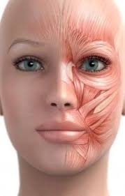 Pin On Health And Beauty