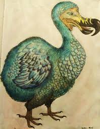 Dodo Bird Bird Dodo Bird Art