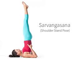 1 yoga asanas in hindi with pictures pdf. à®¯ à®• à®µà®• à®•à®³ à®®à®± à®± à®® à®ªà®¯à®© à®•à®³ Yoga Benefits In Tamil