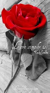 Rose Love Red Roses Wallpaper Iphone 6s Wallpaper Rose Gold Rose Wallpaper