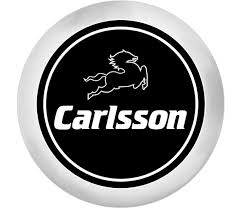 Carlsson Logo Logo Color Schemes Logo Color Color Schemes