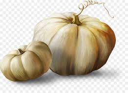 Vector graphics isolated on white background white pumpkin stock illustrations. Halloween White Background