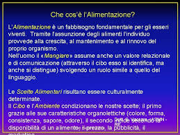 Piramide vecchia e nuova piramide alimentare e cosa mangiare. Il Cibo Oltre Il Cibo Una Visione Diversa