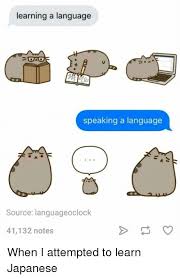 Learn Japanese Memes Yahoo Image Search Results Japanese Memes Learn Japanese Studying Memes