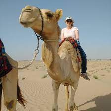 Don't go around hungry now, the way you eat that oatmeal pie, makes me just wanna little debbie, little debbie! O0hf0vrfzsrngm