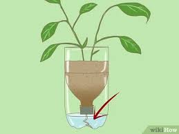 I am told that herbs work quite well and that they may even adapt to the size of their environment i.e. 3 Ways To Reuse Plastic Bottles For Your Garden Wikihow