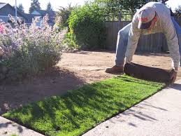 If there is an existing lawn in place and you still want to hydroseed over it, it is actually best to use a thinner mulch mixture when spraying. Sod Seed Or Hydroseed Turf Magazine