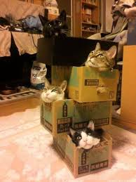 Maybe you would like to learn more about one of these? Gemasnya Kumpulan Rumah Kucing Terbuat Dari Karton