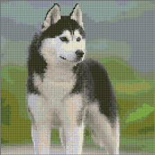 Siberian Husky Dog Animals Cross Stitch Dogs Siberian