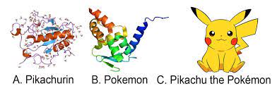 Research Paper Expression of the pokemon gene and pikachurin protein in the  pokémon pikachu