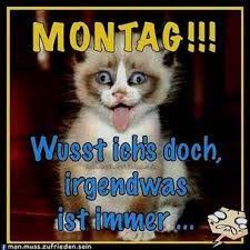 'postkarte mit spruch nur wer sein ziel kennt glückwünsche und sprüche zur konfirmation: Wochenanfang Schonen Montag Bilder Und Spruche Fur Whatsapp Und Facebook Kostenlos