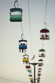 Bird On A Wire Action Bronson Lyrics Skyride Ts Beautiful Photography Photography Photo