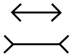 Check spelling or type a new query. Muller Lyer Illusion How Emotions Are Made