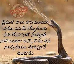 Pin By Sai On Telugu Quotes Lesson Quotes Life Failure Quotes Telugu Inspirational Quotes