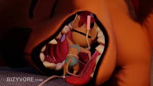 Rule 34 Dev | e621 popular | bizyvore