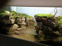 Pin By Evilkittykupcakes On Fish Tank Aquarium Landscape Aquascape Aquarium Freshwater Aquarium