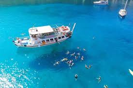 Image result for Thamnosma rhodesica