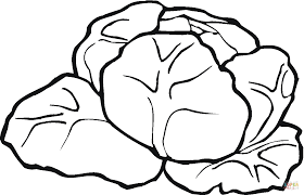coloriage laitue 6 coloriages a imprimer gratuits page de personne vierge