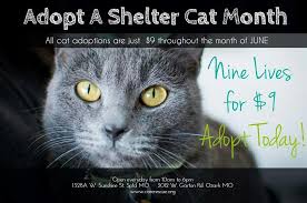 If you see a pet that you would like to know more about, please contact us. C A R E Animal Rescue Careanimalrescu Twitter