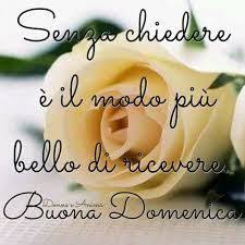 Buongiorno Fiori Buona Domenica Domenica Buongiorno Divertente