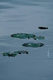 西湖之水天上来 poster nature shadow