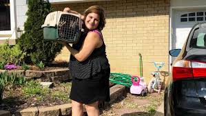 Kc pet project, 7077 elmwood ave., kansas city, mo; Kc Pet Project Launching Virtual Animal Adoption Program