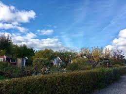 Stora Mossens Koloniträdgårdsförening - About | Facebook