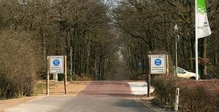 Hieronder vind je de mooiste fietsroutes in de buurt van arcen op basis van je zoekopdracht. Nationaal Park De Maasduinen Arcen Velden