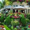 Concept of posing near incredible flowers in modern greenhouse. Https Encrypted Tbn0 Gstatic Com Images Q Tbn And9gctkspyvdgzer8giawovhs7sizql Uj5np5lubxc4pus4z1wu4rf Usqp Cau