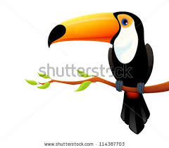 Tucan Clipart Passarinho Em Eva Animais Passaros