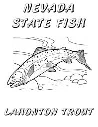 Search through 623,989 free printable colorings at getcolorings. Cutthroat Trout Coloring Page Iconmaker Info