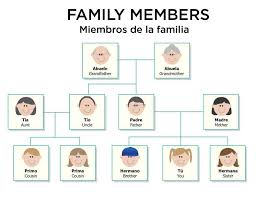 Family Members In Spanish