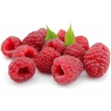 We did not find results for: Giant Red Raspberry Seeds Price 1 95