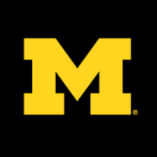 Michigan Wolverines Football Tickets Stubhub