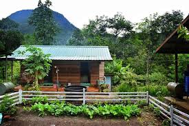 See more ideas about sayur, menanam sayuran, taman herba. Porohon Garden Lodge Kampung Sayap Kota Belud Sabah Reviews Facebook
