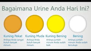 Warna air seni orang sehat. Bagaimana Warna Urine Kamu Hari Ini Segera Perbanyak Minum Untuk Menjaga Kesehatan Farhati Mardhiyah