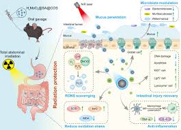 Image result for Radiation Colitis