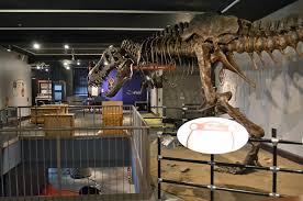 Scarlett o'haras, sioux falls, sd. 10 Top Rated Attractions Things To Do In Sioux Falls Sd Planetware