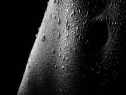 Beautiful Black And White Screensaver Pin On Zhenskie Prelesti