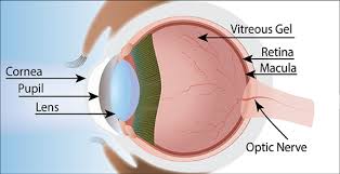 A doctor will answer in minutes. Traditional Glaucoma Test Can Miss Severity Of The Disease Columbia News