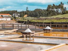 A zona antiga de rio maior é um repositório dos projectos de vida de gerações de riomaiorenses. Roteiro Parque Natural Serras De Aire E Candeeiros O Que Visitar Em 2 E 3 Dias Vagamundos