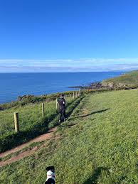 Ali Williams (@AliWill74047588)